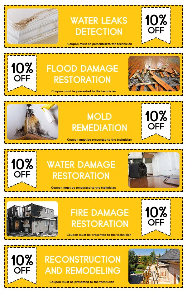 Margate Restoration Expert Margate, FL 954-459-3089