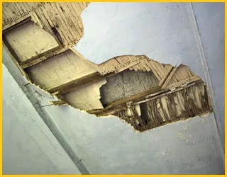 Margate Restoration Expert Margate, FL 954-459-3089