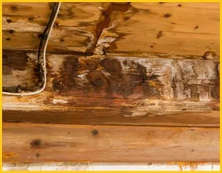 Margate Restoration Expert Margate, FL 954-459-3089