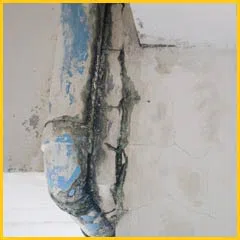 Margate Restoration Expert Margate, FL 954-459-3089 Margate Restoration Expert Margate, FL 954-459-3089